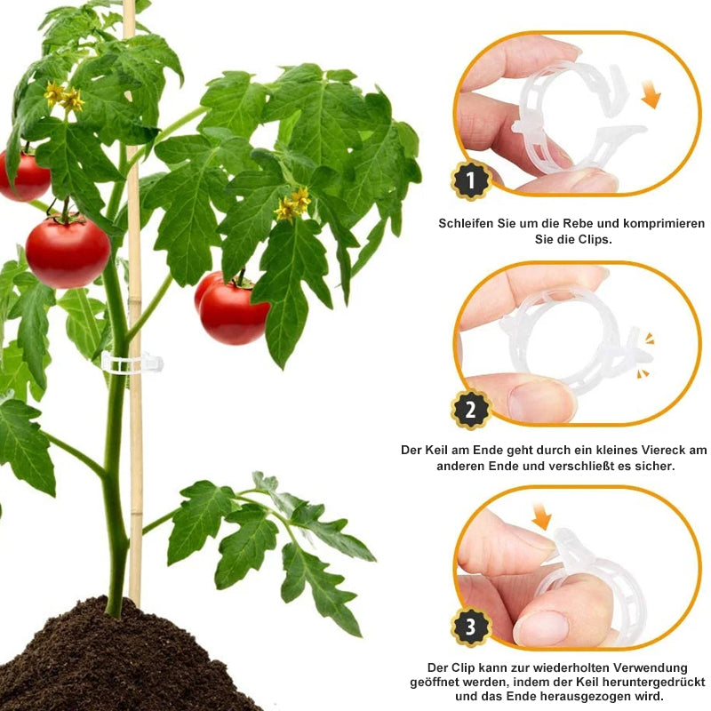🗜️Klips för klätterväxter – Plastband för tomater och växtfästen 🌱🍅
