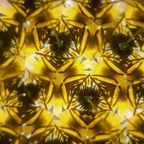 Den bästa presenten🎁——Denna magiska optiska träleksak inspirerar barns obegränsade fantasi