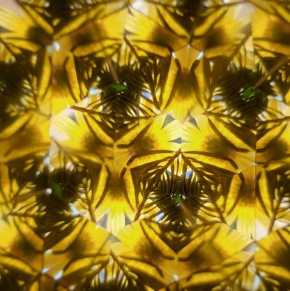 Den bästa presenten🎁——Denna magiska optiska träleksak inspirerar barns obegränsade fantasi