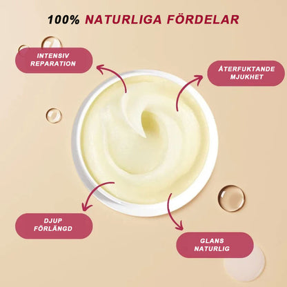 Återställ år av återfuktning och styrka Maca Elixir