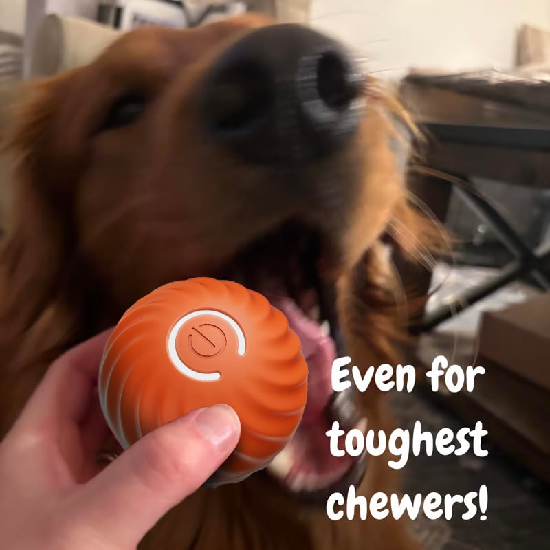 💥Interactive Dog Toys Dog Ball