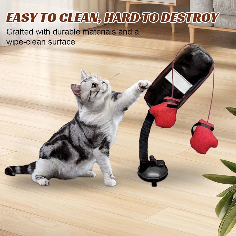 Katt Boxnings Leksaker