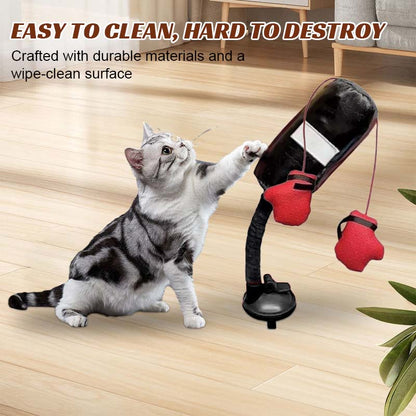 Katt Boxnings Leksaker