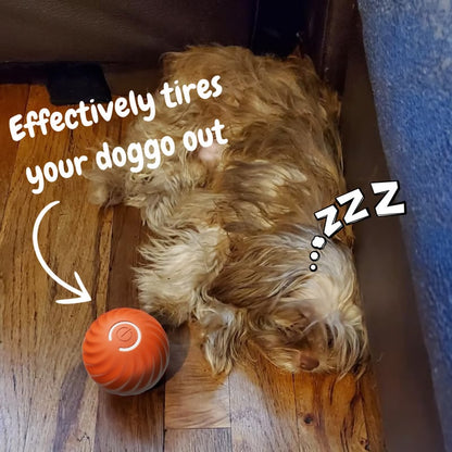 💥Interactive Dog Toys Dog Ball