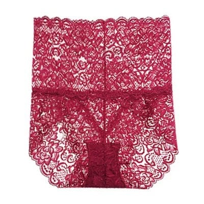 🔥5 PCS- Sexy Hohe Taille Hübsche Spitzenhöschen