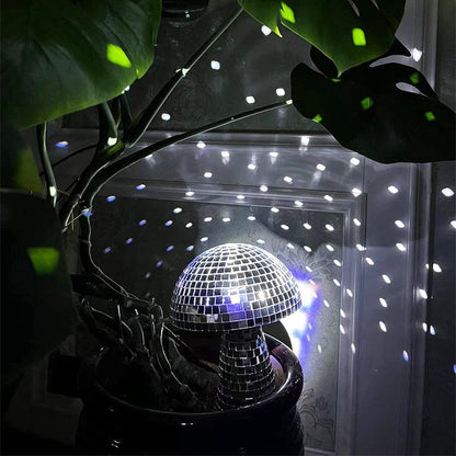 Discokula med svamp