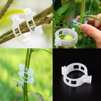 🗜️Klips för klätterväxter – Plastband för tomater och växtfästen 🌱🍅