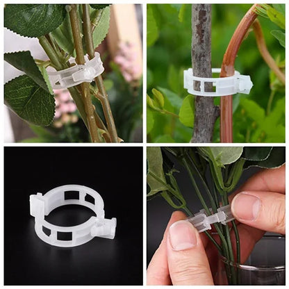🗜️Klips för klätterväxter – Plastband för tomater och växtfästen 🌱🍅