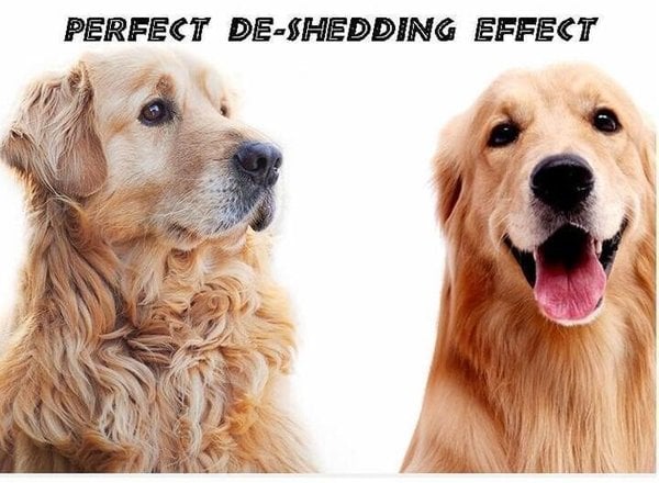 🎁Pet Safe Dematting Comb--3% rabattkod NOR3