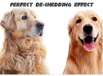 🎁Pet Safe Dematting Comb--3% rabattkod NOR3