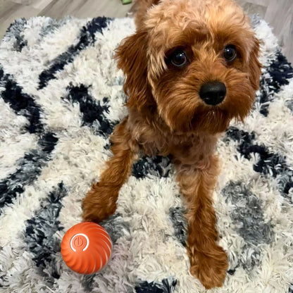 💥Interactive Dog Toys Dog Ball