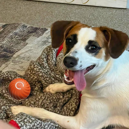 💥Interactive Dog Toys Dog Ball