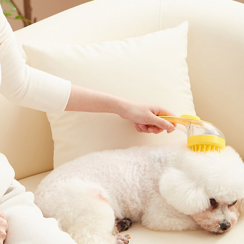 Husdjur badborste med långt handtag och schampo doserare