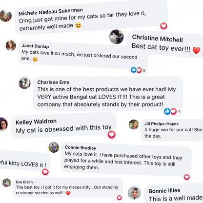 Interaktiv Kattleksak med Fågelsimulering