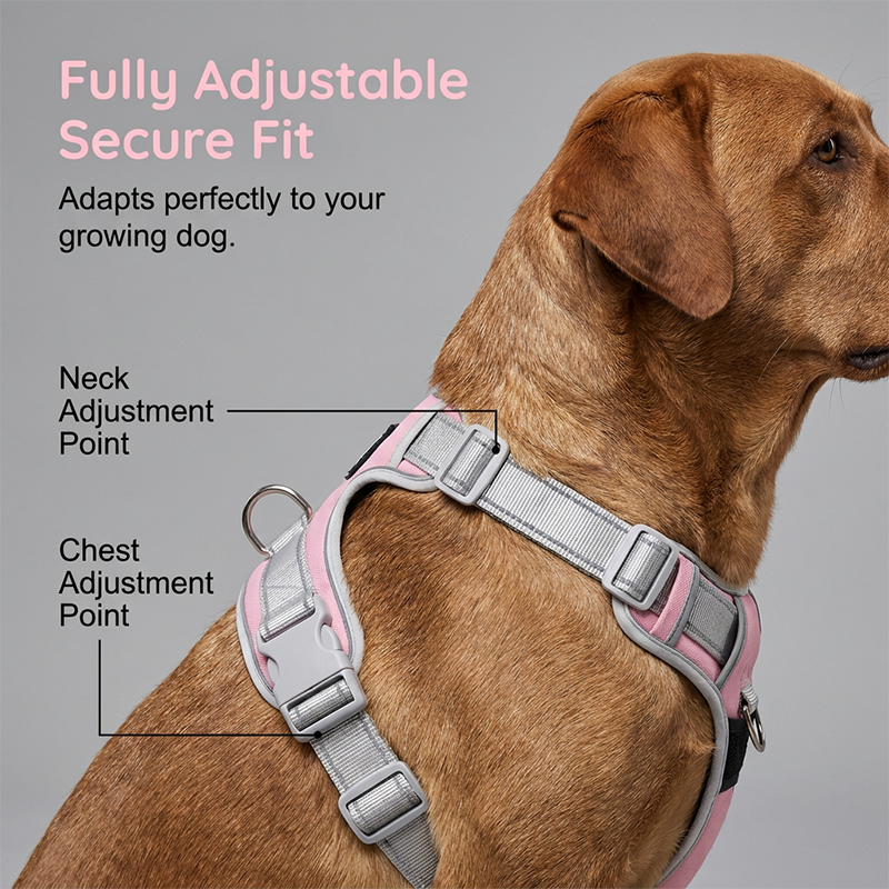 🛡️ Rymningssäker hundsele med tophandtag – justerbar no-pull väst med 1.5M reflekterande remmar